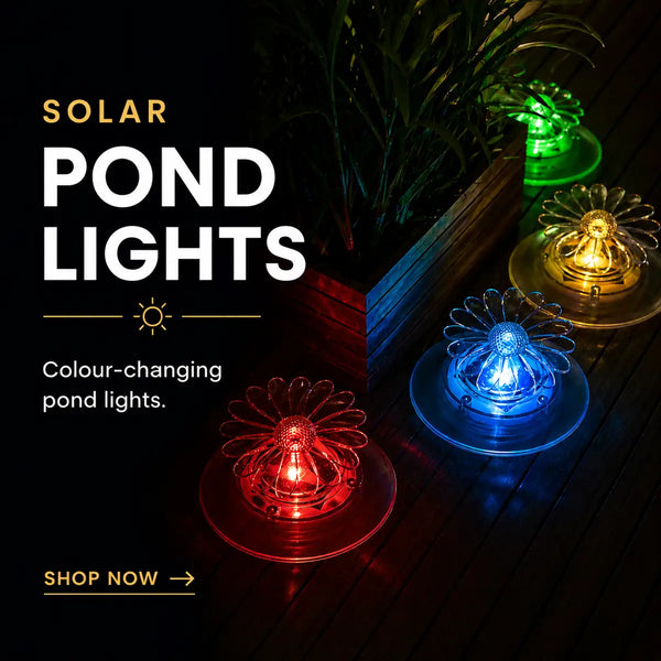 Solar Pond Lights